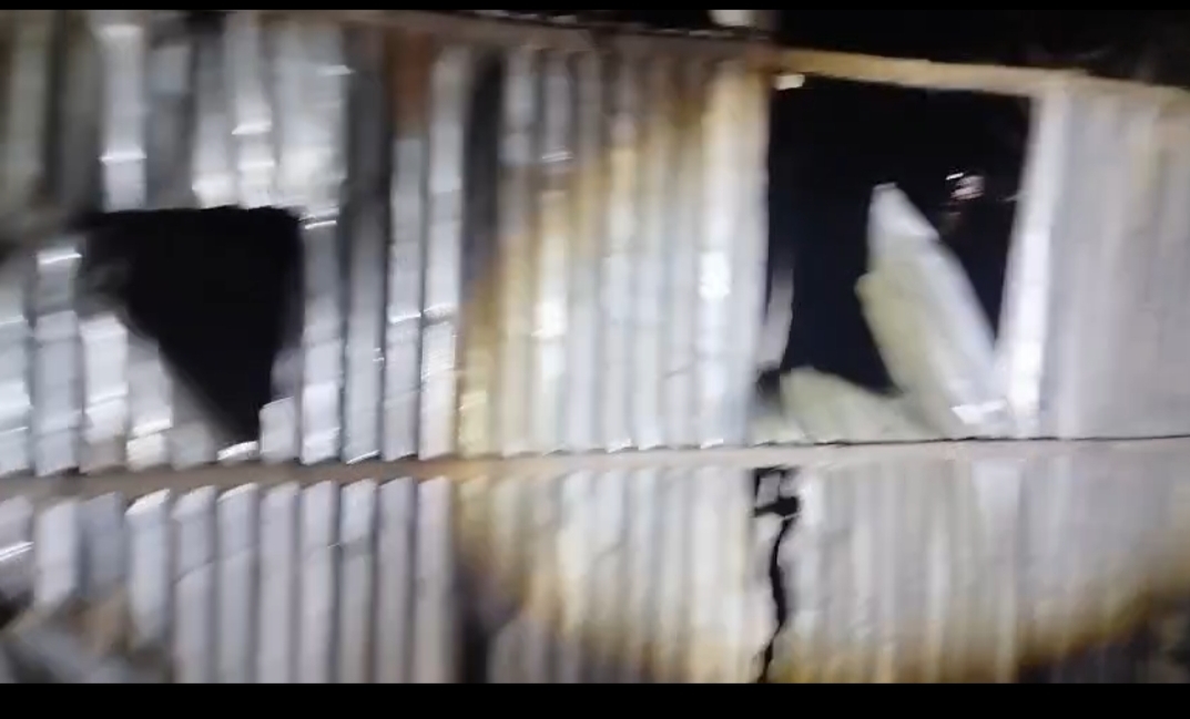 বিএনপি নেতা আমিনুল স্বপনের নেতৃত্বে সাংবাদিকের বাড়িতে হামলা ও ভাংচুর!