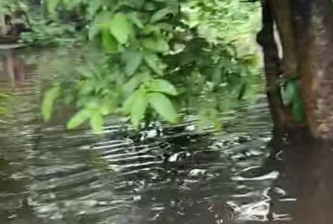 জলাবদ্ধতায় বিপর্যস্ত সেনবাগ পৌরসভার ৯ নম্বর ওয়ার্ড, দ্রুত সমাধানের দাবি বাসিন্দাদের