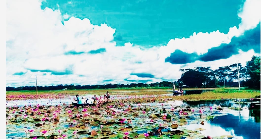 নবীনগরে বর্ষার সৌন্দর্য্য বিলুপ্তের পথে